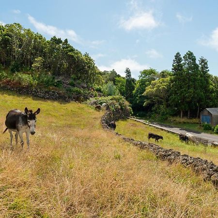 Casa da Figueirinha Calheta de Nesquim Exterior foto