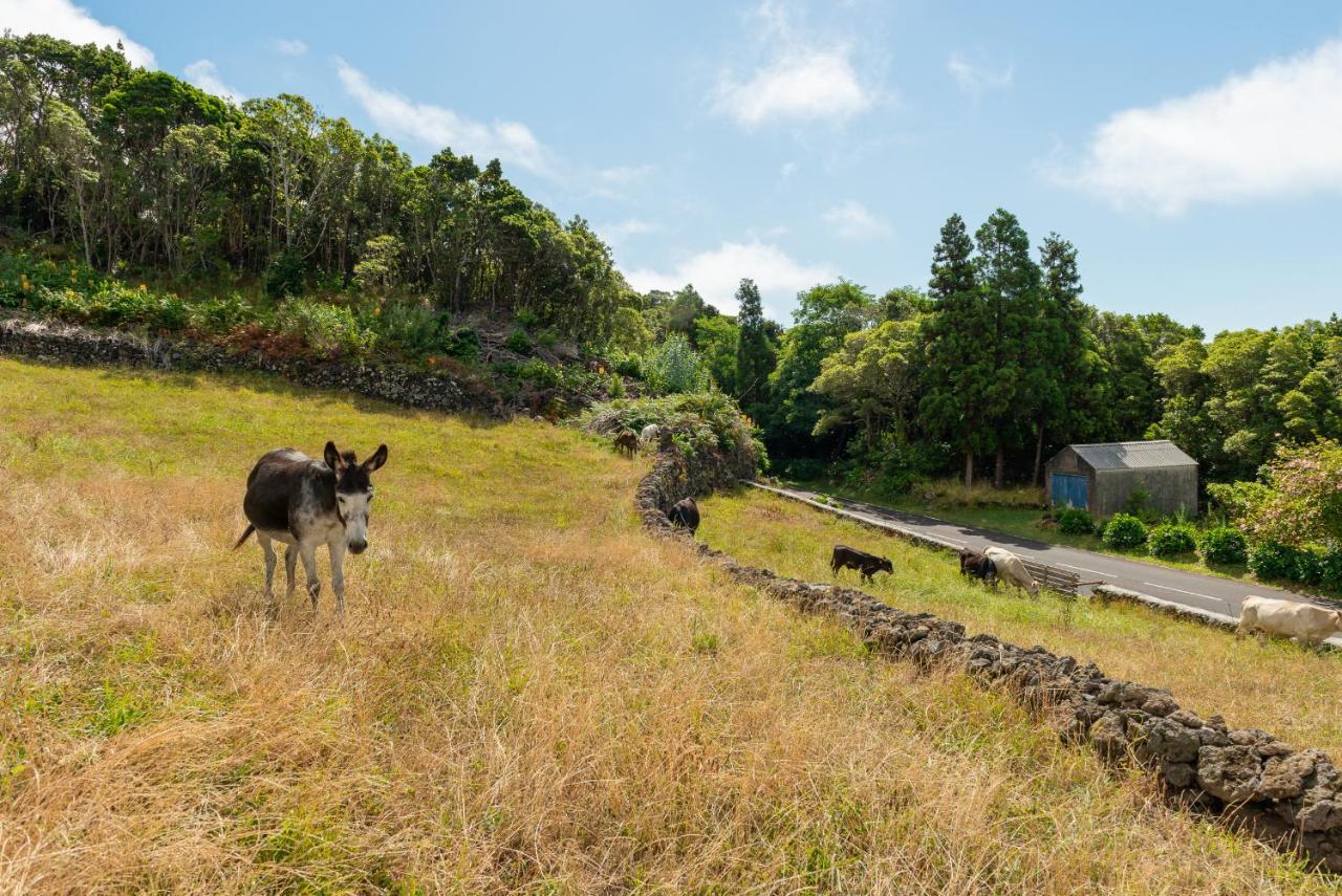 Casa da Figueirinha Calheta de Nesquim Exterior foto